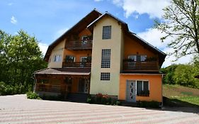 Pensiunea Valea Badilii